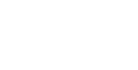 A white background with a few lines on it